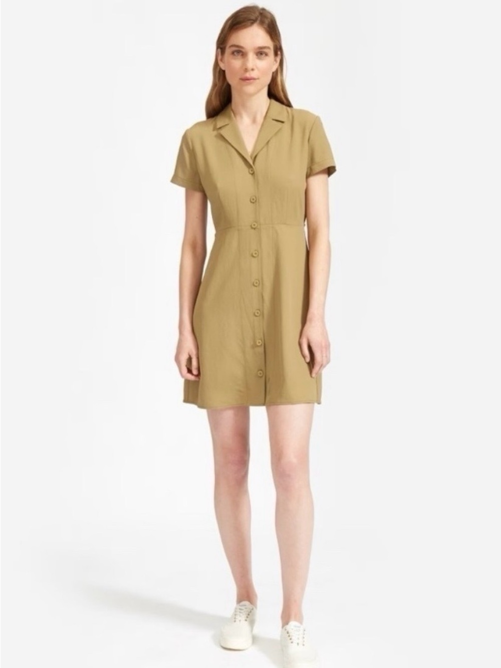 Everlane Olive Collared Dress